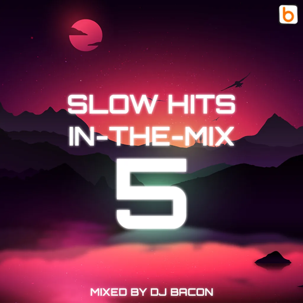 Miksa “Slow Hits in-the-mix vol.5” vāka attēls