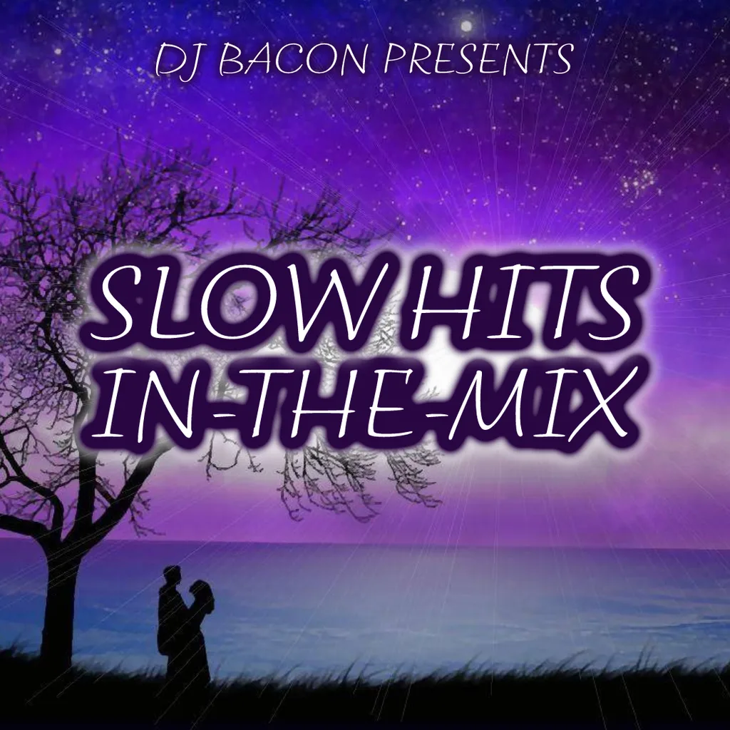 Miksa “HSDj Slow Hits Megamix 1” vāka attēls