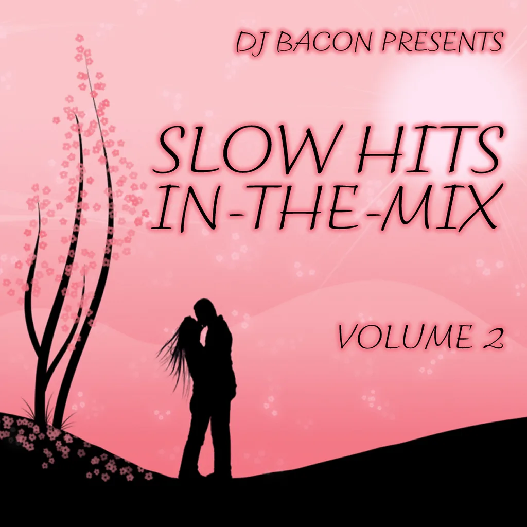 Cover artwork for HSDj Slow Hits Megamix 2